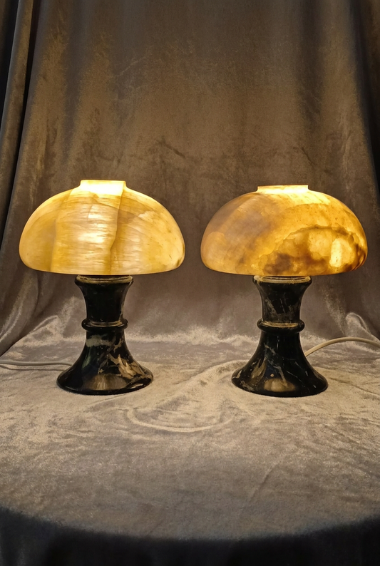 Shroom Black Beauty